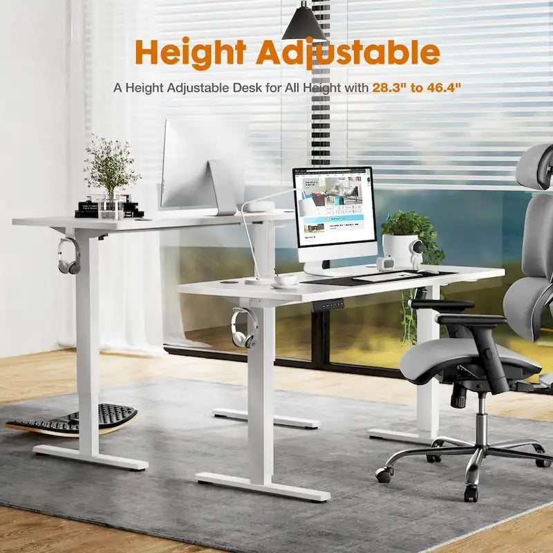 55 x 24-Inch Electric Height-Adjustable Standing Desk